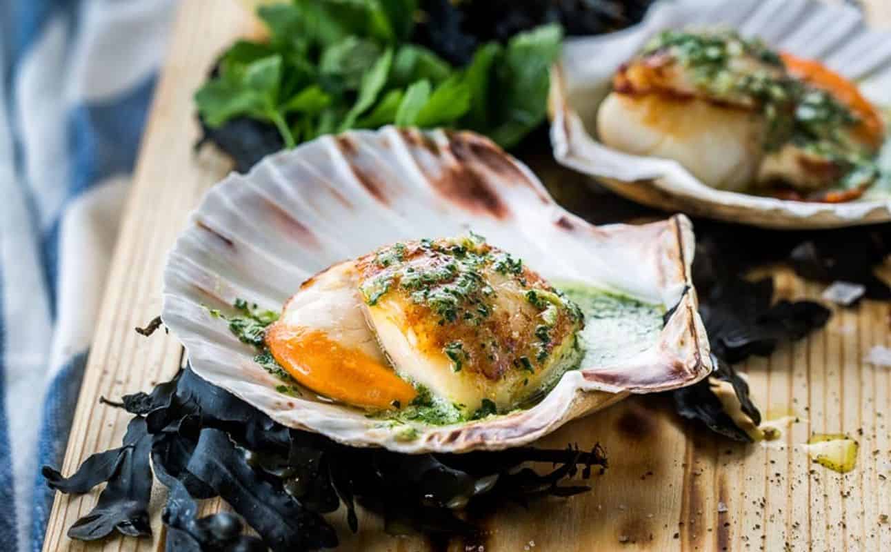 Enjoy Seafood cuisine at The Scallop Shell in Bath