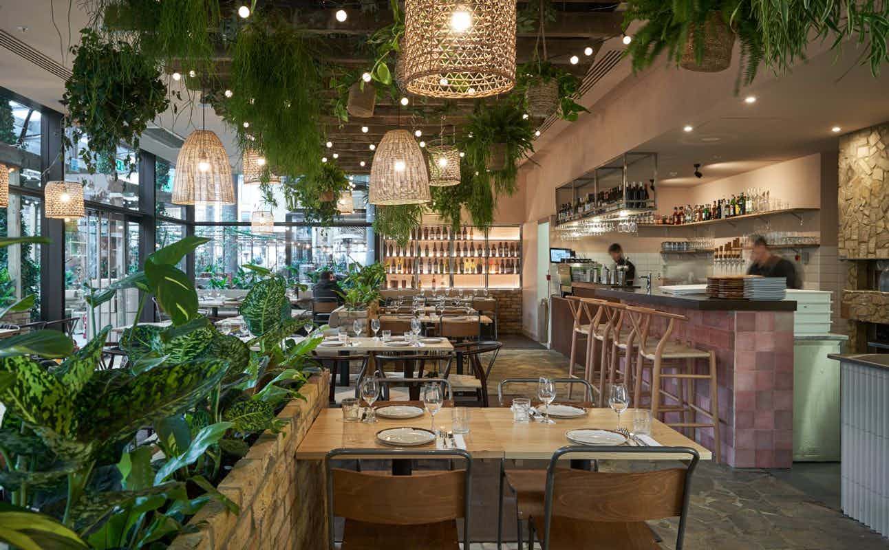 Enjoy Mediterranean, Brunch, Small Plates, Vegetarian options, Vegan Options, Gluten Free Options, Restaurant, Indoor & Outdoor Seating, Table service, Highchairs available, Free Wifi, Non-smoking, $$$ and Groups cuisine at Brother Marcus Spitalfields in Spitalfields, London